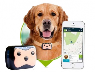 Трекер для животных Pet GPS Tracker
                                                                                